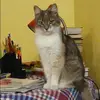Отзыв от Арина Соловьева